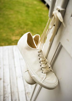 希望に合ったペット葬儀が行える霊園