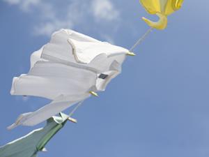 印刷通販を活用した集客戦略！自営業者必見の効果的な販促ツールガイド