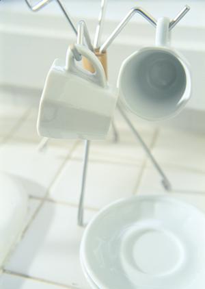 納得のいく店舗のゴキブリ駆除が可能です