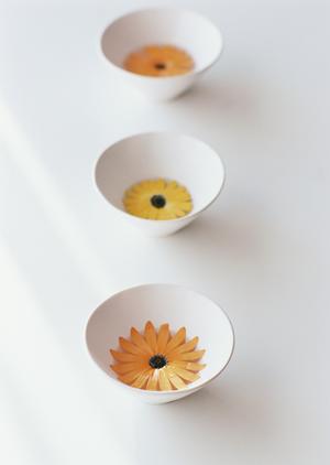 多彩なプランを選んで子供写真を撮る