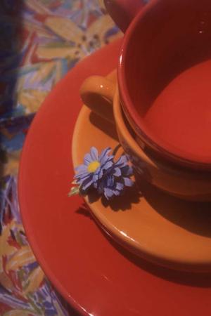 大阪の水漏れ修理を徹底解説！2025年最新の対策と安心のサポートガイド